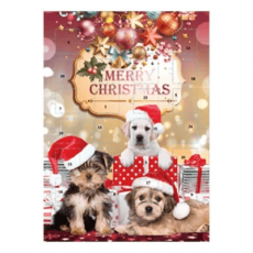 Adventskalender Choklad Hund 75g Coopers Candy