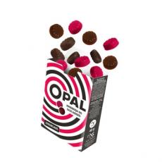 OPAL Hallon & Saltlakrits Sockerfri 40g Coopers Candy