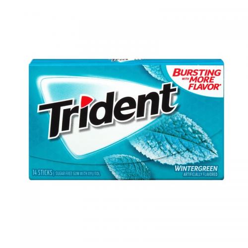 Trident Wintergreen Gum 31g Coopers Candy