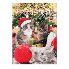 Adventskalender Choklad Katt 75g Coopers Candy