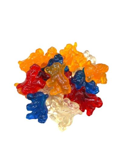 Matthijs Holländska Lejon 1kg Coopers Candy