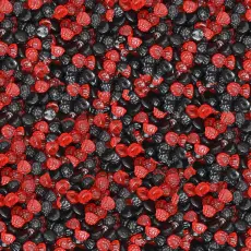 Skogsbär Sockerfria 2kg Coopers Candy