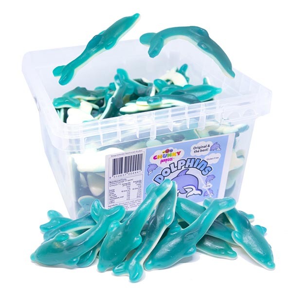 dolphin jelly dolphin jelly