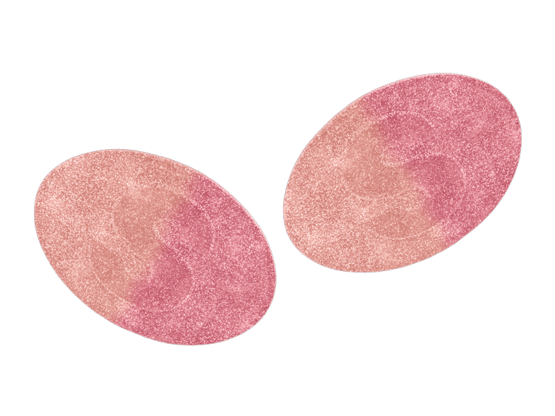 S-Märke Razzy 500g | Godis | Gottegrisen